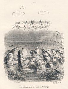 Omgång av vattendjur och trollsländor. Miniatyrer illustrerade av JJ Granville. Gravyr signerad Andrew, Best och Leloir i delen med titeln "Memories of an old crow" skriven av PJ Stahl i "Scener från djurens privata och offentliga liv". P av Grandville