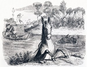 Åsnan med svampen och åsnan med saltet (L