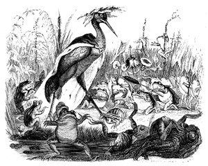 Grodorna frågar kungen, illustration från 