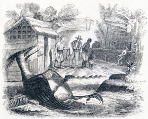 Fågeln gör ont av en pil - Fables av La Fontaine av Grandville