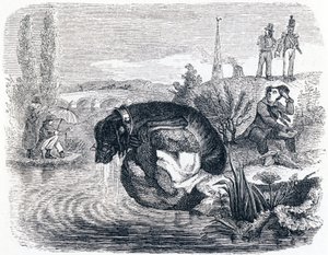 Hunden som ger upp sitt byte för skuggan - Fables av La Fontaine av Grandville