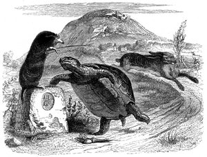 Haren och sköldpaddan: La Fontaines fabel illustrerad av Grandville.