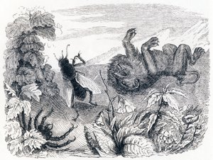 Lejonet och mitten - Fabler av La Fontaine av Grandville