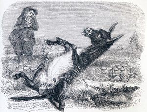 Den gamle mannen och räven (Le vieillard et l