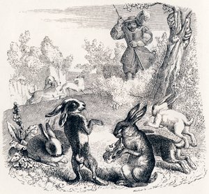 Kaninerna - Fabler av La Fontaine av Grandville