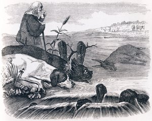 De två hundarna och den döda åsnan - Fables av La Fontaine av Grandville