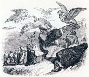 Gamar och duvor - Fables av La Fontaine av Grandville