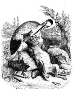 Vargen och storken: La Fontaines fabel illustrerad av Grandville. Edition Garnier 1860. Storken framställs som läkare (fel belöning för hans förvillelse!)