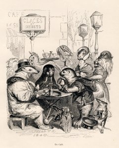 Ett kafé som besöks av alla slags djur. Miniatyrer illustrerade av JJ Granville. Gravyr signerad Godard i delen med titeln "Resan för ett afrikanskt lejon till Paris" skriven av Honore de Balzac i "Scener från djurens privata och offentliga liv". P av Grandville