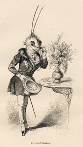 En gammal fjäril tittar på tiden med sina glasögon. Miniatyrer illustrerade av JJ Granville. Gravyr signerad Breviere i delen med titeln "En fjärils äventyr" skriven av PJ Stahl i "Scener från djurens privata och offentliga liv". Paris, J. av Grandville