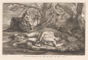 Narcissus i Echo Narcissus omvandlas till en blomma som bär hans namn (titel på objektet)