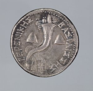 Silverdidrakma från Berenice II (silver) (se även 293751) av Greek