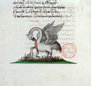 Ms 3401 A Pelican Piercing itsbrast to feed its young, from a bestiary av Manuel Philes, 1566 av Greek School