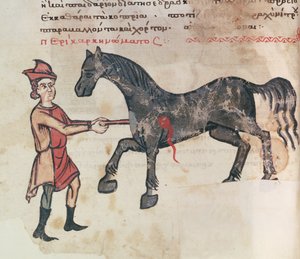 Ms Grec 2244 fol.37v Opererar en häst av Greek School