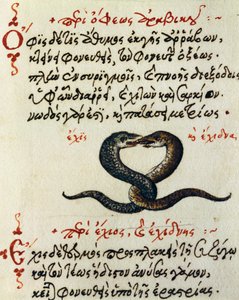 Ormkoppling, test och miniatyr från De animalium natura et proprietate libellus, av Aelianus (2:a-3:e århundradet e.Kr.) av Greek School