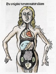 Gregor Reisch (1467-1525), Bale 1517 - Margareta av Philosophica (1467-1525), Bale