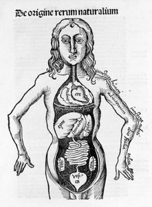 Gregor Reisch (1467-1525), Bale 1517 - Margareta av Philosophica (1467-1525), Bale