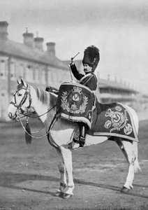 Plum Duff, trumhästen till Royal Scots Greys, 1896