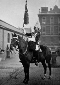 Squadron Corporal Major av 1:a livgardet med standard, 1896. av Gregory and Co