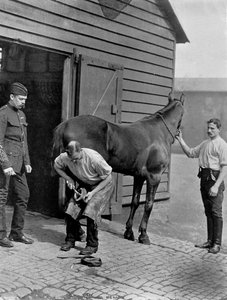 Hovslagare-majoren av Royal Horse Guard, 1896.