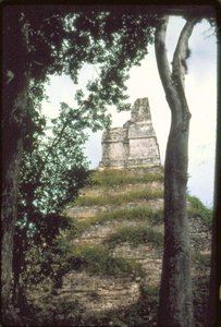 Inskrifternas tempel, ca. 700 e.Kr av Guatemalan School