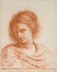 Chef för en ung kvinna, 1550-1666 av Guercino