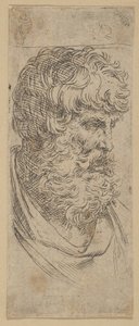 Byst av en skäggig man, ca. 1600-1640. av Guido Reni