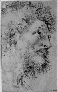 Huvudstudie av Sankt Crispin av Guido Reni
