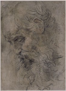 Den helige Paulus eremitens huvud av Guido Reni