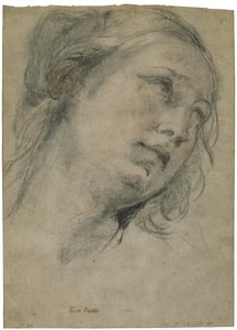 Huvudet av en ung kvinna som tittar uppåt av Guido Reni
