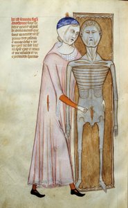 Medicin: anatomi och kirurgisk tavla som representerar en dissektionsscen - Sidan hämtad från manuskriptet "Liber notables of Philip the seventh king of the franks, extrahered from the books of Galien"" av Gui de Pavie