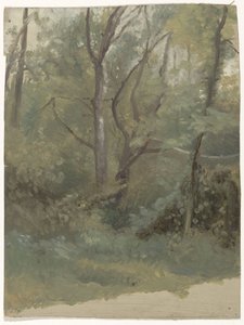 Skogsutsikt av Guillaume Anne van der Brugghen