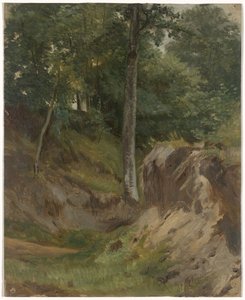 Torr bäck i skogen