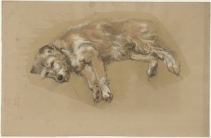 Liggande hund