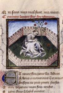 Representation av en förälskad ung pojke i njutningens trädgård som upptäcker fontänen Narcissus, miniatyr i "Roman de la Rose" av Guillaume Lorris