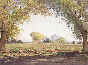 Salt River Valley (w/c & gouache på papper)