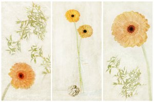 Soft Gerbera-triptyk