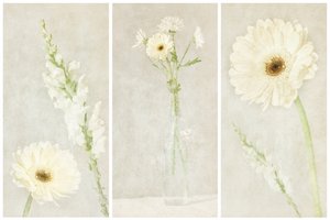 Mjuka vita blommor