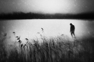 Ensam promenad vid vattnet av Gustav Davidsson