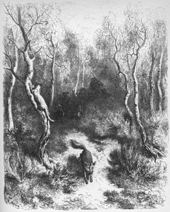 le chat et le fox - Räven och katten - från 