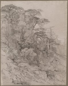 Träd på en stenig sluttning av Gustave Achille Guillaumet