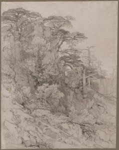 Träd på en stenig sluttning, sent 1800-tal. av Gustave Achille Guillaumet