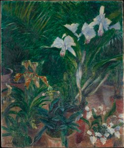 Orkidéer i Petit Gennevilliers växthus, 1893. av Gustave Caillebotte