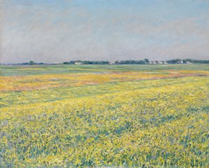 Gennevilliers-slätten, gula fält av Gustave Caillebotte