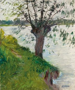 Pil vid floden; Saule au bord de la riviere, ca. 1891 av Gustave Caillebotte