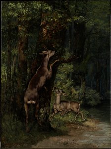 Rådjur i skogen av Gustave Courbet