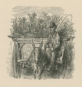 En man som kör en vagn lastad med växter och blommor av Gustave Dore
