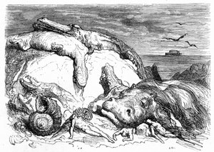 Gravyr av Gustave Dore omkring 1850: framkallande av en apokalyptisk syndaflod som kombinerar biblisk tradition (man kan på avstånd se Noes ark på havet) och början av vetenskaplig kunskap (olika monstruösa djur misslyckades på berget, pref av Gustave Dore