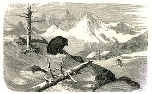 Gravyr av Gustave Dore som illustrerar boken "Voyage aux Pyrenees d