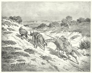 Gustave Dores Don Quijote: "Han ledde röven vid grimman och tog den närmaste vägen han kunde gissa till den stora vägen" (gravyr) av Gustave Dore